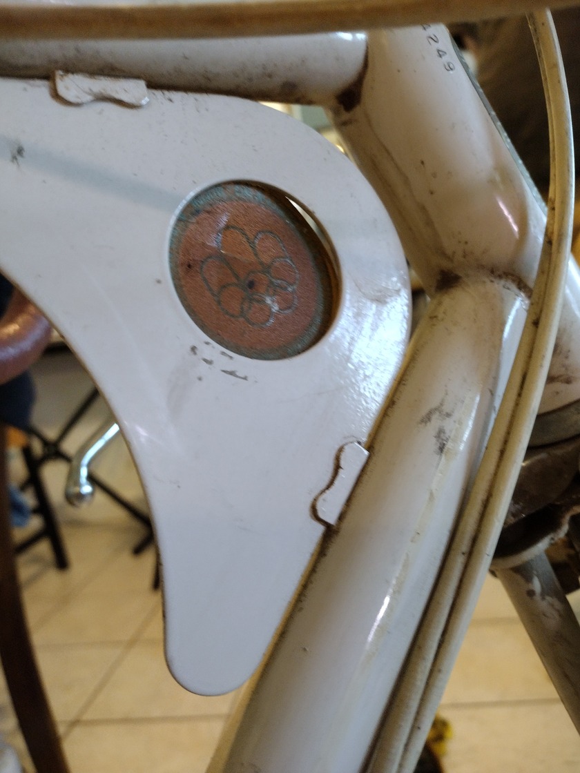 decorative plastic medallion with olympic logo on bike frame